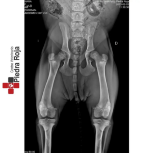 Centro Veterinario Piedra Roja