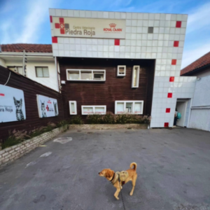 Centro Veterinario Piedra Roja