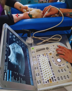 Centro Veterinario Piedra Roja