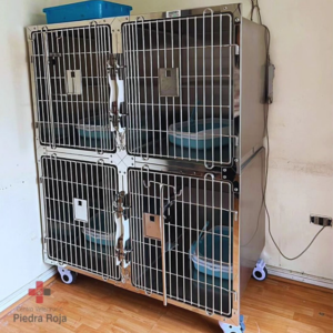 Centro Veterinario Piedra Roja