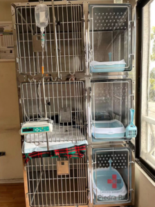 Centro Veterinario Piedra Roja