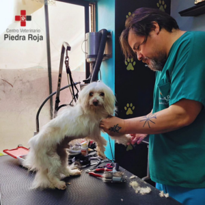 Centro Veterinario Piedra Roja